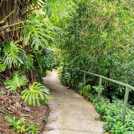 Hatea Treehouse Whangarei Exteriér fotografie