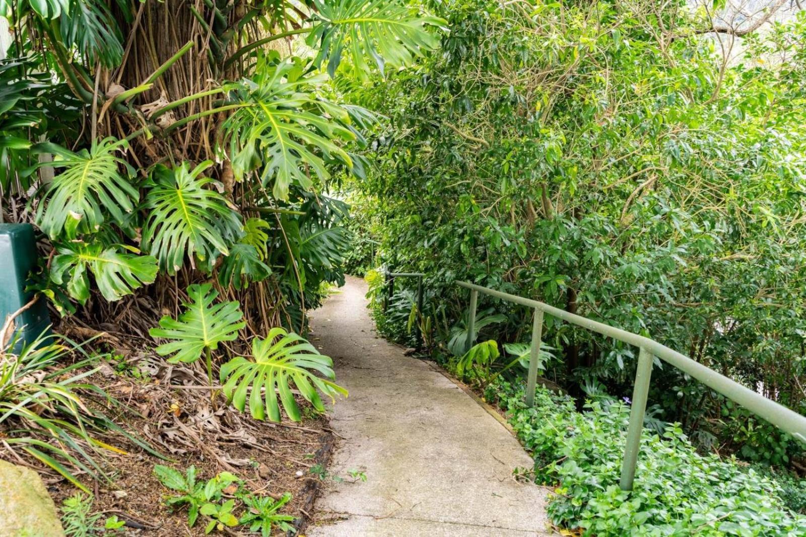 Hatea Treehouse Whangarei Exteriér fotografie